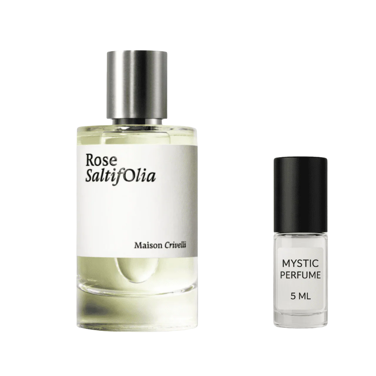 Maison Crivelli Rose Saltifolia - Image 3