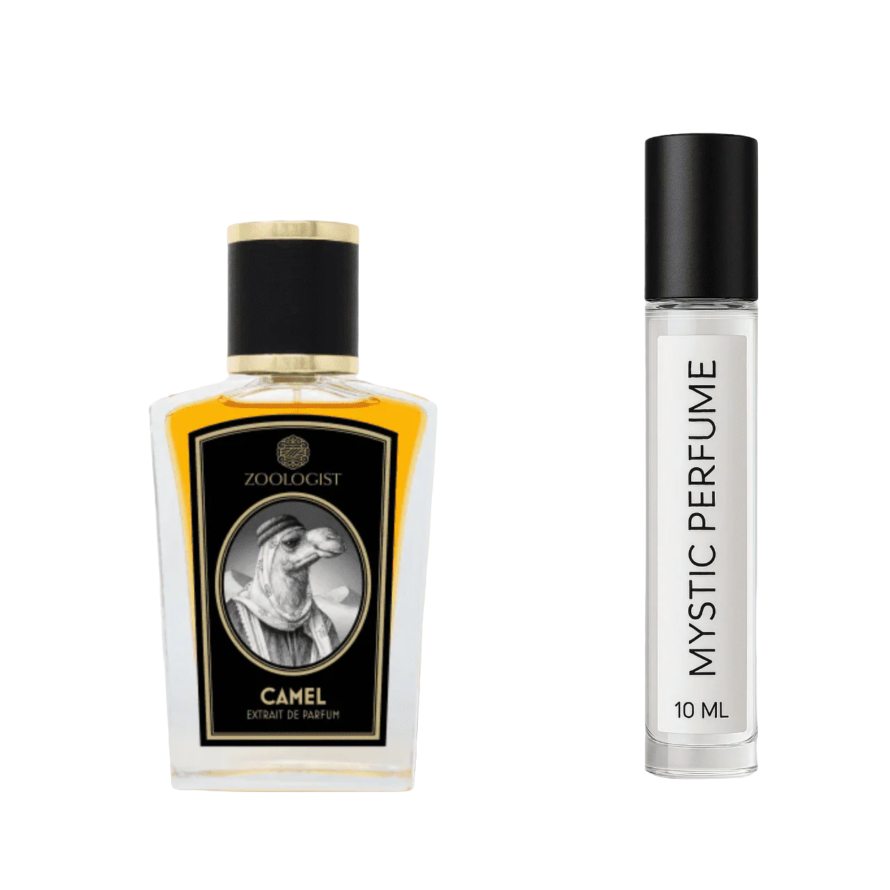 Zoologist Camel (Old Packaging) - Image 3