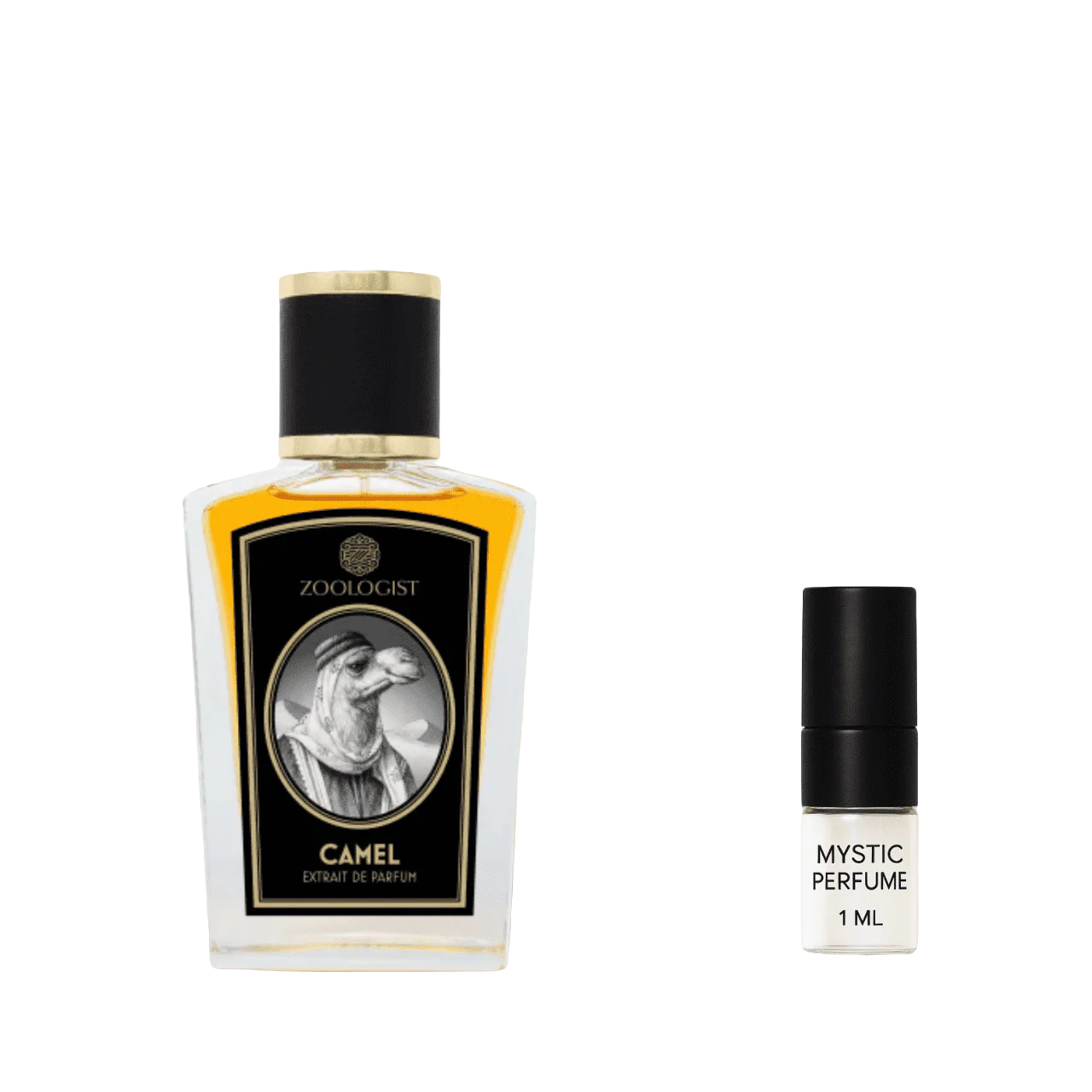 Zoologist Camel (Old Packaging) - Image 4