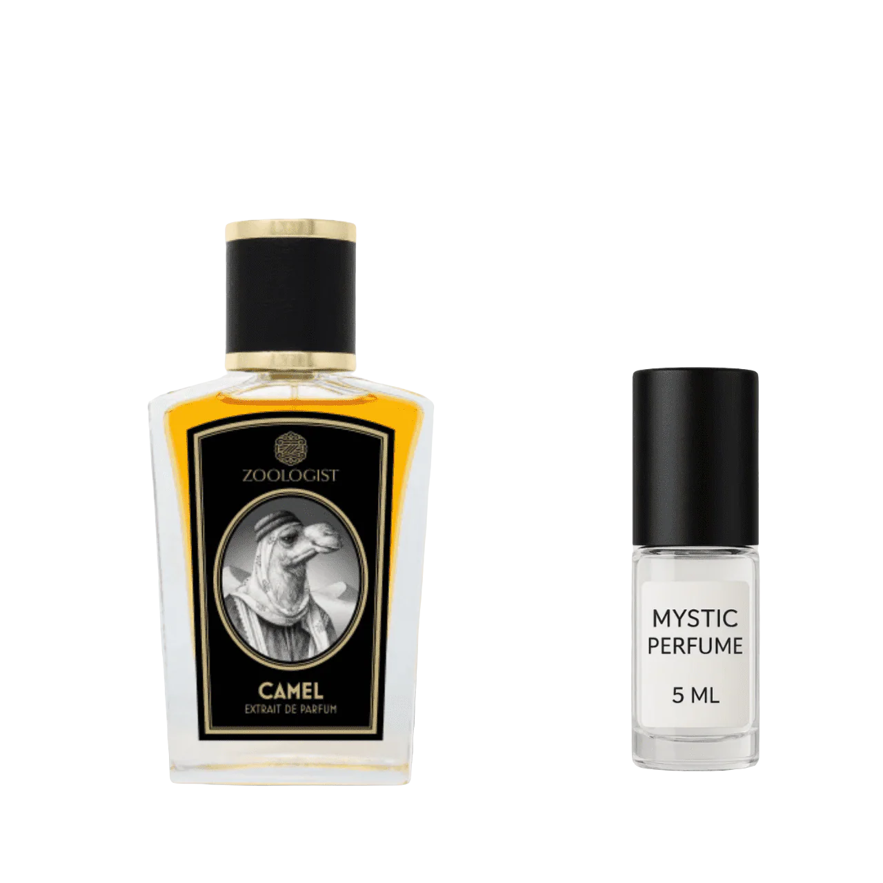 Zoologist Camel (Old Packaging) - Image 6
